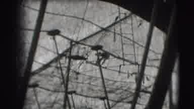 Ringling Brothers Sarasota Florida (1948): Trapeze Artists Practice Their Routine
