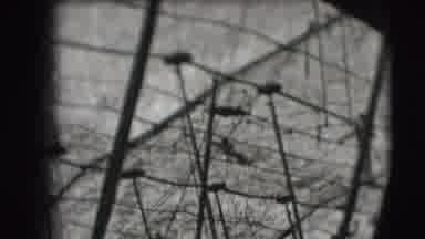 Ringling Brothers Sarasota Florida (1948): Highwire Trapeze Artist Performance In
