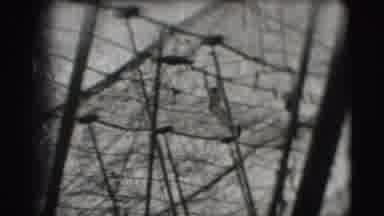 Ringling Brothers Sarasota Florida (1948): Circus Clowns Big Top Crowd Flying