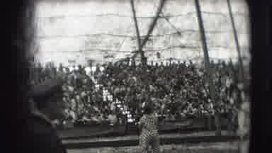 Ringling Brothers Sarasota Florida (1948): Black And White Women Throwing