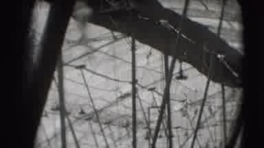 Ringling Brothers Sarasota Florida (1948): Trapeze Artists Swing Back And Forth