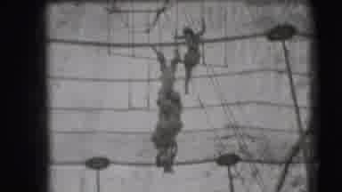 RINGLING BROTHERS SARASOTA FLORIDA-1948: Five Female Trapeze Talents Working