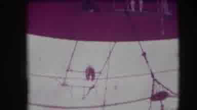 Ringling Brothers Sarasota Florida (1948): A Trapeze Artist Fails To Grasp