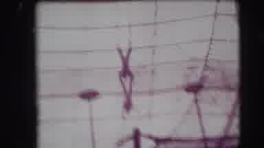 Ringling Brothers Sarasota Florida (1948): Two People At Circus Swing Each Other
