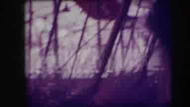 Ringling Brothers Sarasota Florida (1948): Gymnast Performs On A Net Like
