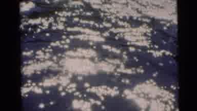 Baraboo Wisconsin USA (1953): Two Fishermen Fishing On River In Boat Catches A