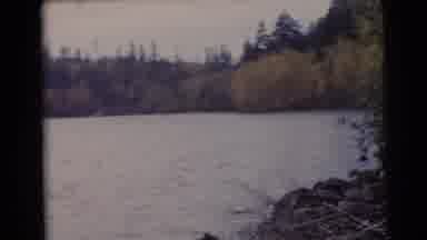 Baraboo Wisconsin USA (1953): Man Beside A Beautiful Lake Surrounded By Nature In