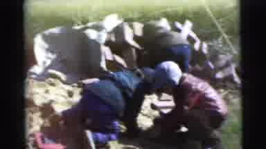 Miami Florida (1956): All Children Are Playing With The Sand And Bricks
