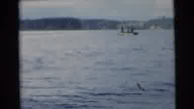 Miami Florida (1956): Men Dressed In Uniform Standing On Small Motor Boat Roaming