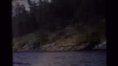 Miami Florida (1956): The Amazing Outdoors