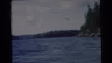 Miami Florida (1956): View Of Large Lake Surrounded By Forest And Hills Seen From
