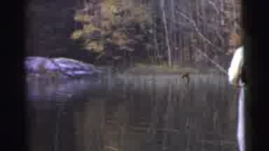 Miami Florida (1956): Man Fishing On A Very Calm Lake Surrounded By Beautiful