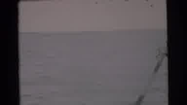 Miami Florida (1956): View From The Left Side Of A Boat Than Pans To View The