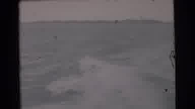 Miami Florida (1956): Men Fishing On The Boat Caught A Swordfish And They Struggle