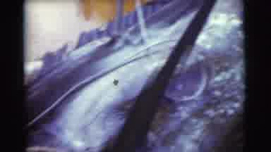Miami Florida (1956): A Dead Fish On Boat And Three People On Boat Are Fishing In