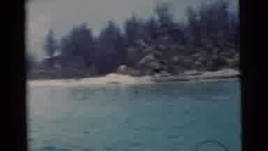Miami Florida (1956): Beautiful Water View With Houses Built Around It And Trees