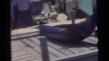 Miami Florida (1956): Fishermen Remove Large Fish From The Boat On A Big Fishing