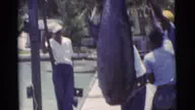 Miami Florida (1956): A Giant Catch So Heavy It Takes The Force Of Two To Pull