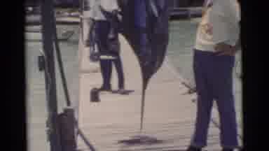 Miami Florida (1956): Two Men Looking At A Blue Swordfish Caught By The Tail