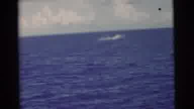 Miami Florida (1956): Massive Fish Splashing Around In The Middle Of The Ocean At