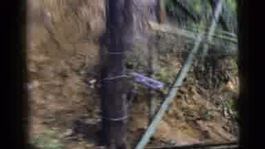 New York City (1956): Riding Through The Dirt Trail Is A Bumpy Ride And Makes It