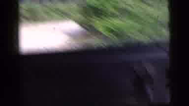 New York City (1956): Jeep In Jungle Action Shot