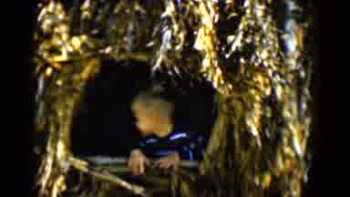 Tucson Arizona USA (1958): Mother And Son Playing In Tree Covered In Shrubbery