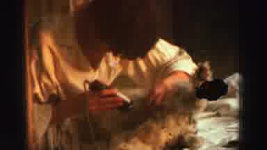 Lake Tahoe California (1969): Person Wearing White Shirt Trims Fur From Dog On A