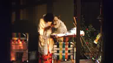 Lake Tahoe California (1969): Adorable Patient Pet Dog On A Tall Table Letting Its