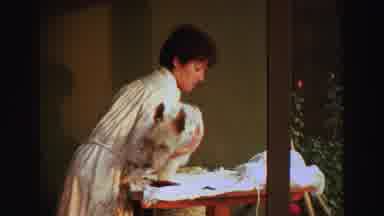 Lake Tahoe California (1969): Patient, Calm And Trusting Dog Letting A Woman Use