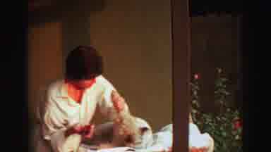 Lake Tahoe California (1969): Classic Kimono Guy Shaving Dog With Electric Razor