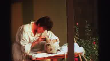 Lake Tahoe California (1969): Pet Grooming At Seaworld San Diego