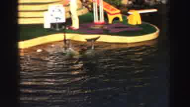Lake Tahoe California (1969): Two Dolphins In Pool Enclosure Toss Orange Balls Out