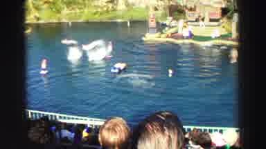 Lake Tahoe California (1969): Pair Of Dolphins Turning Flips For Audience On A