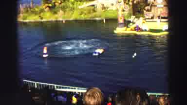 Lake Tahoe California (1969): Dolphins Doing Backflips Out Of The Water To A Crowd