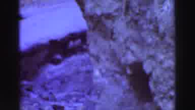 Lake Tahoe California (1969): Vintage Geological Footage Of Rocks