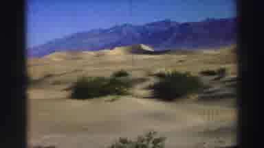 Lake Tahoe California (1969): View Of Green Shrubs And Tan Sand Dunes On A Sunny