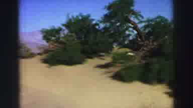 Lake Tahoe California (1969): Beautiful Scenery Large Grasslands Light Green Grass