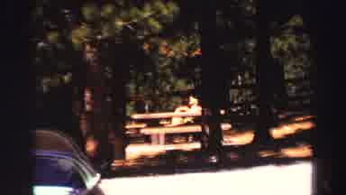 Lake Tahoe California (1969): Two People At A Picnic Table In A Forest Park