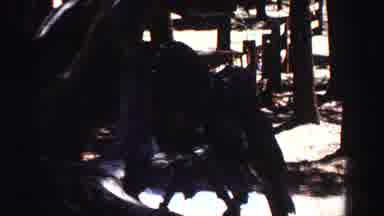 Lake Tahoe California (1969): Zoom In Shot Of What Appears To Be A Turned Over