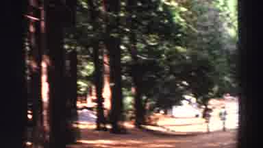 Lake Tahoe California (1969): A More Trees Are There Two Children Are Walk The
