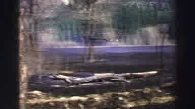 Lake Tahoe California (1969): Driving Along A Scenic Road