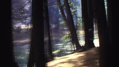 Lake Tahoe California (1969): Beautiful Clear Stream Running Through The Middle Of