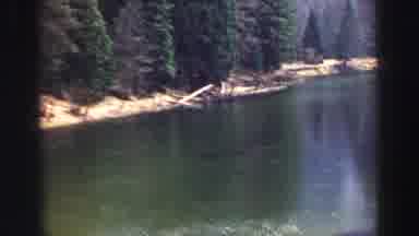 Lake Tahoe California (1969): View Of Lake And Green Trees On A Sunny Day