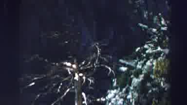 Lake Tahoe California (1969): Older Footage Of Local Wildlife Preserve