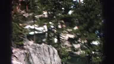 Lake Tahoe California (1969): Snowy Steep Mountainside Covered In Green Trees With