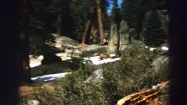 Lake Tahoe California (1969): Outside View Of A Rocky Path In The Wilderness