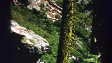 Lake Tahoe California (1969): Boy Scout Walking Alone Through The Forest On Rocky