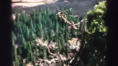 Lake Tahoe California (1969): Nostalgic Homemade Video Showing A Campsite Park Or