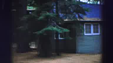 Lake Tahoe California (1969): Woods Forest Trees Cabins Sunny Panning Outdoors